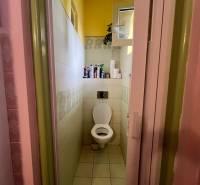 Bathroom in a family house with a toilet and a shelf with cleaning products.