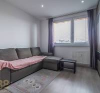 Living room in a 3-room apartment with a sofa, carpet, and wardrobe.