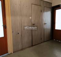 Interior with wooden doors and built-in wardrobes in a studio apartment.