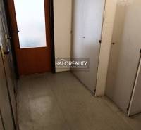 Hallway with storage space in a studio apartment with wooden doors.