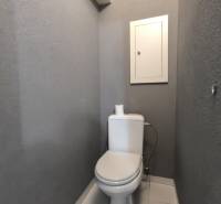 Gray bathroom with a toilet and a shelf in a 3-room apartment.