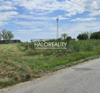 A road lined with agricultural and forest lands in Čierny Brod, poles, and generous greenery.