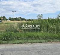 Agricultural and forest land in Čierny Brod, surrounded by tall greenery and a rural environment.