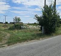 A rural road by agricultural and forest land in Čierny Brod with electric poles.