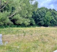 A building plot in Borinka surrounded by trees, ideal for living in nature.