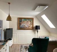 Living room in a 2-room apartment with a skylight, a painting, and comfortable armchairs.