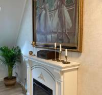 A fireplace with a painting of ballerinas adorns the interior of the 2-room apartment, the plant adds a natural element.