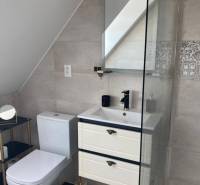 Bathroom in a 2-room apartment with a sink, toilet, and shower.