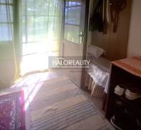 A hallway in a family house with a carpet, a shoe rack, and a wall-mounted coat rack.