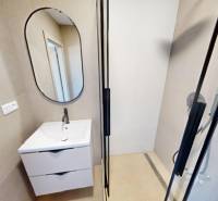 Bathroom in a 2-room apartment with a mirror, sink, and shower corner.
