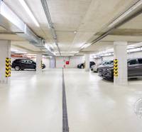 Garages with cars, concrete pillars, and lighting.