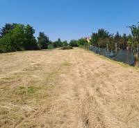 Flat commercial plots - Sládkovičovo city, Sládkovičovo street, with greenery on the sides.