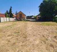 A garden at a family house in Sládkovičovo with a manicured lawn and a fence.