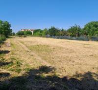 The area of commercial land surrounded by greenery in Sládkovičovo on Sládkovičovo Street.