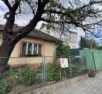 A family house in Ilava with a front garden and a large tree by the walkway.