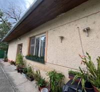 A family house in Ilava with floral decorations and a green gate in the yard.