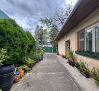 A family house in Ilava with window flowers, an adjacent garden, and a concrete courtyard.