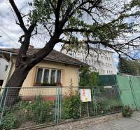 A family house in Ilava with a fenced garden, a tree, and neighboring buildings in the background.