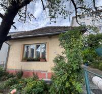 A family house in Ilava with a landscaped garden and flowers under the window.