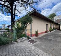 The exterior of a family house in Ilava with a flower garden and a paved access road.