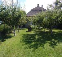 The garden with fruit trees near the cottage in Klížska Nemá.