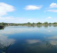 The lake near Klížska Nemá surrounded by trees and reeds with a calm sky.
