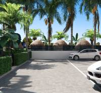 Parking lot with greenery and palm trees near a three-bedroom apartment on Santa Rosalia Lake Street in Torre Pacheco.