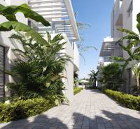 Palms and greenery line the road between buildings at SANTA ROSALIA LAKE in TORRE PACHECO.