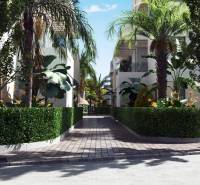 Greenery and sidewalks between buildings on Santa Rosalia Lake Street in Torre Pacheco.