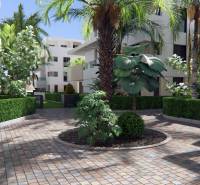 The greenery surrounding the apartment complexes on Santa Rosalia Lake Street in the city of Torre Pacheco.