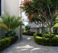 A beautiful outdoor area full of greenery and a walkway in the Santa Rosalia Lake area in Torre Pacheco near three-bedroom apartments.