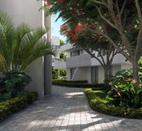 Santa Rosalia Lake Street in Torre Pacheco with palm trees near a 3-bedroom apartment.