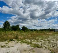 Garden development plots offer a vast area with lush vegetation and open skies.