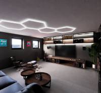 Interior of commercial spaces with seating, a television, and decorative elements.