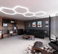 Commercial spaces with comfortable sofas, a brick wall, and modern furniture.