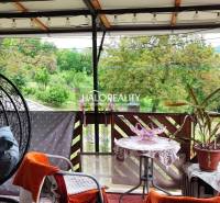 The terrace of the family house with a swing and plants offers a view of the greenery.