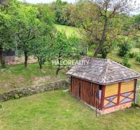 A garden at a family house in České Brezové with a wooden structure and trees.