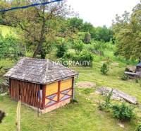 A garden in a family house in České Brezové with a garden shed and trees.