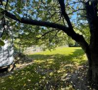 The garden of a family house in Veľké Blahovo surrounded by trees and greenery.