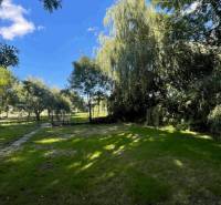 A garden at a family house in Veľké Blahovo, surrounded by greenery and trees.