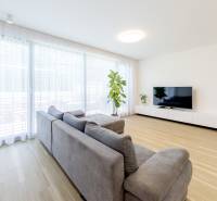 Living room in a 3-room apartment with a spacious sofa and a wooden decor floor.