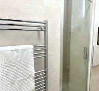A bathroom with a shower and a ladder radiator in a 2-room apartment.