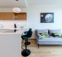 Kitchen and living room with a sofa in a 2-room apartment, light wooden floors.