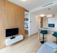 Interior of a 2-room apartment with wooden paneling, a television, and an open kitchen with a bar counter.