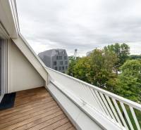 A balcony of a 2-room apartment with glazing and a view of trees and a bridge in the distance.