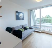 A bright living room in a two-room apartment with a sofa and a view through a large window onto the balcony.