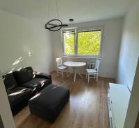 A bright living room with a sofa and a dining table in a two-room apartment.