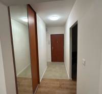 Hallway of a 2-room apartment with wooden flooring and a built-in wardrobe with a large mirror.