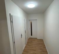 A hallway in a 2-room apartment with a wooden floor and white doors.