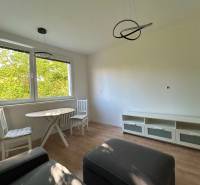 Living room in a two-room apartment with a sofa, table, and chairs by the window.